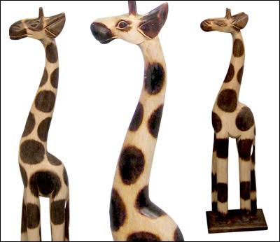 Giraffes