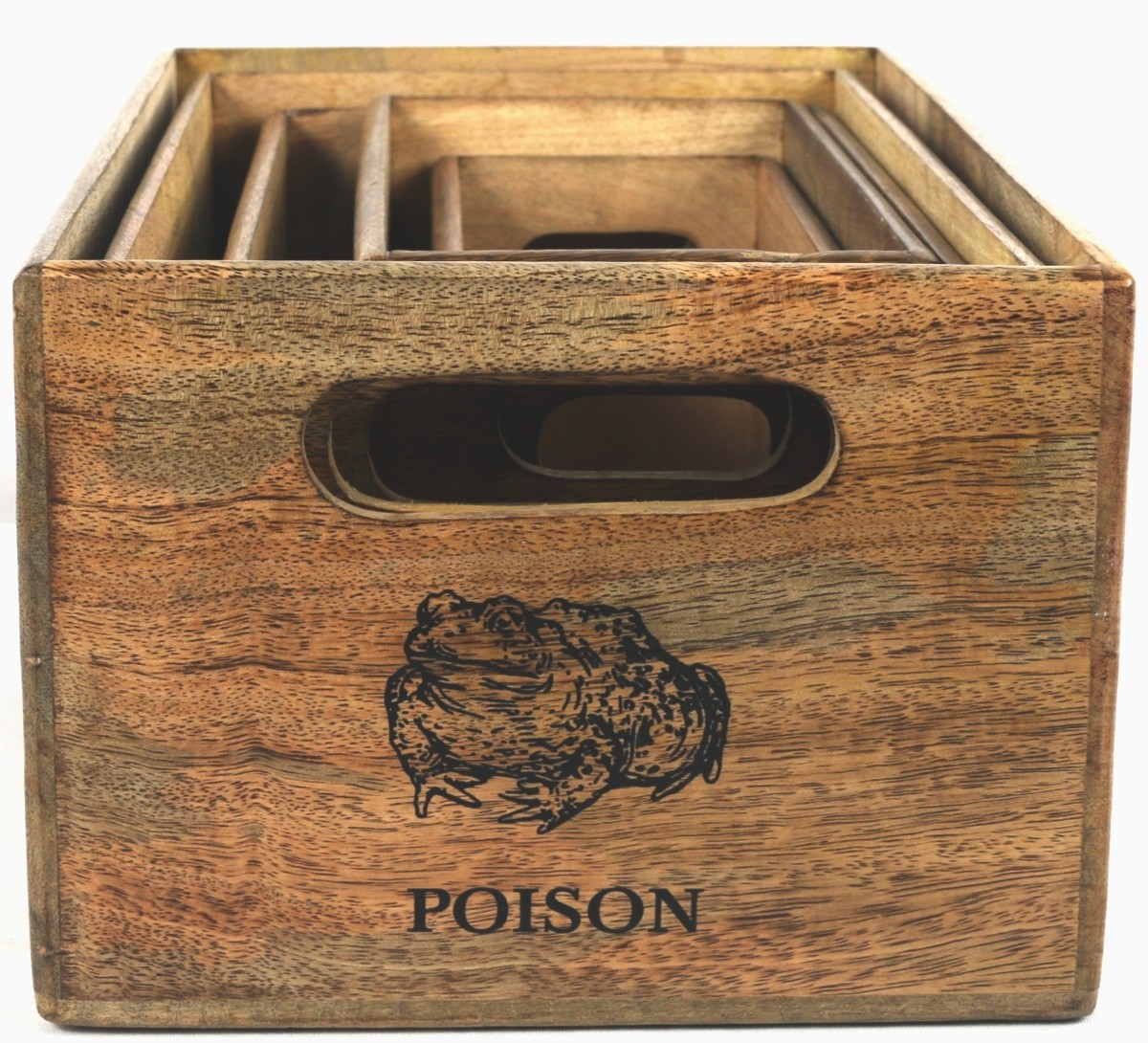 Set of 5 Mango Wood Harry's Crates