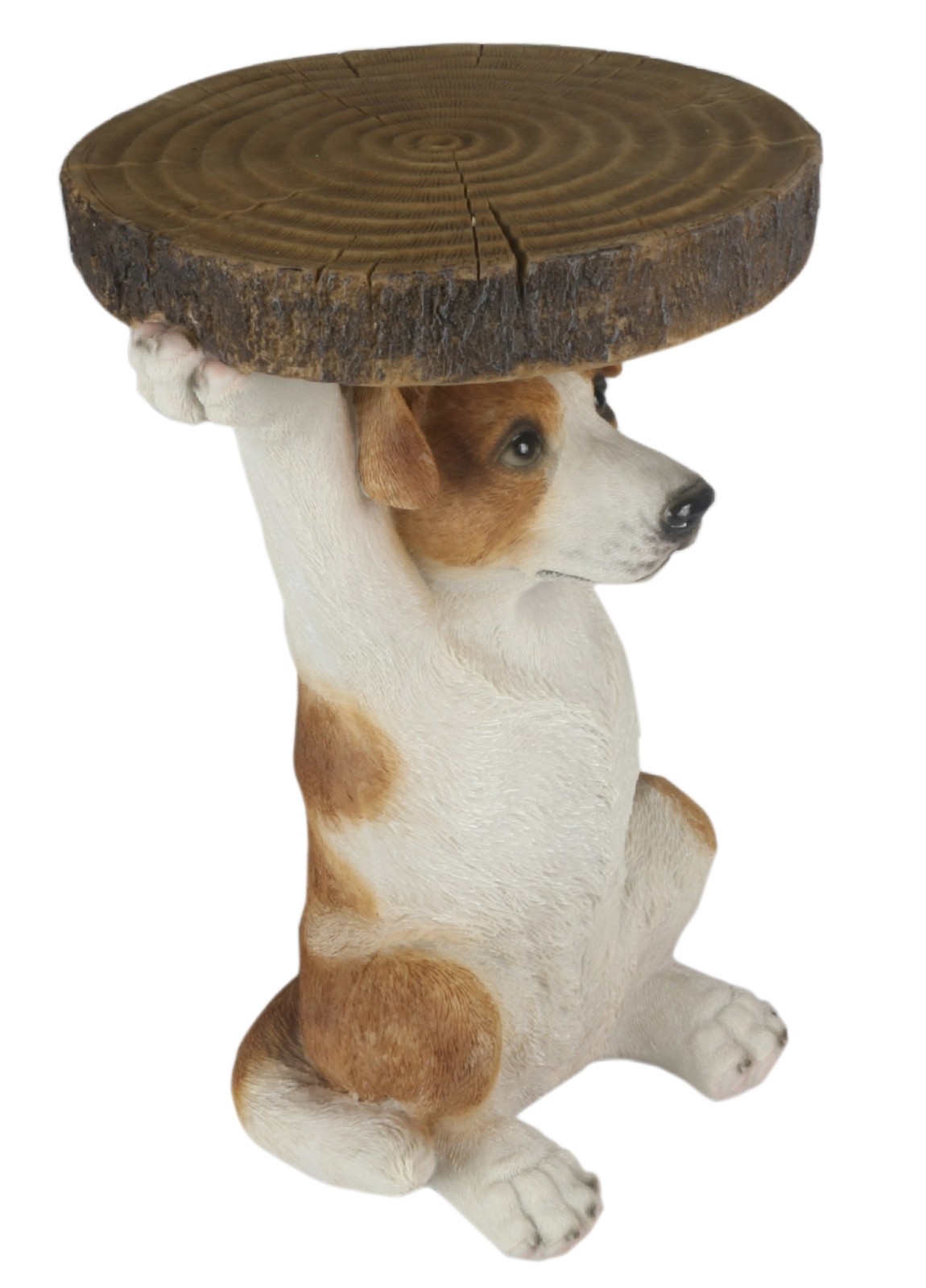 Jack Russell Dog Table 36cm