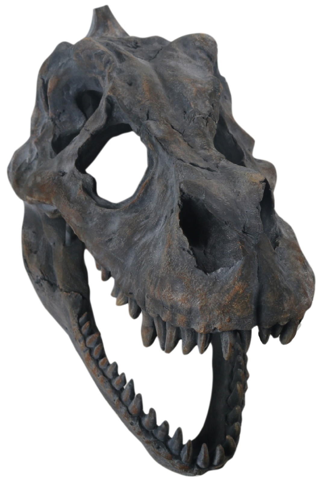T-rex Skull Wall Art - 39.5cm