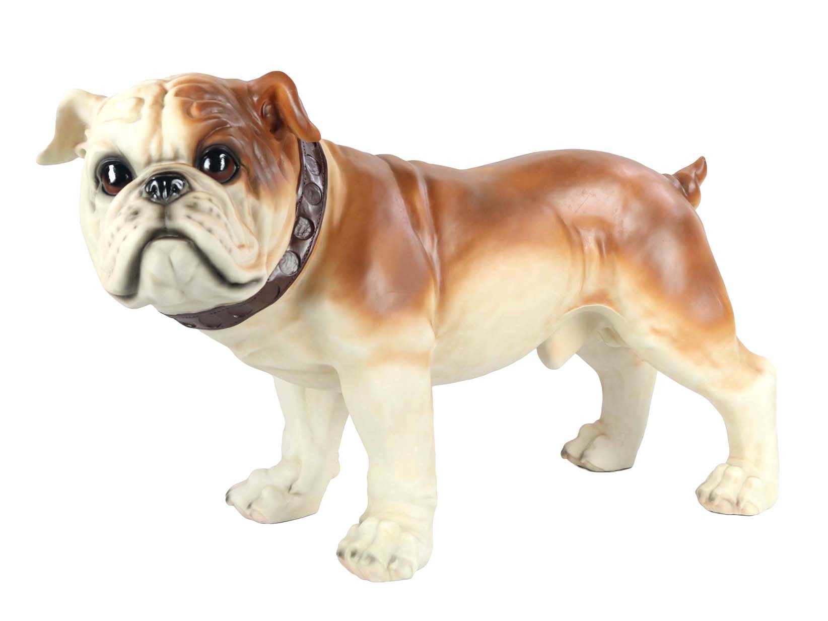 Bulldog  69.5cm