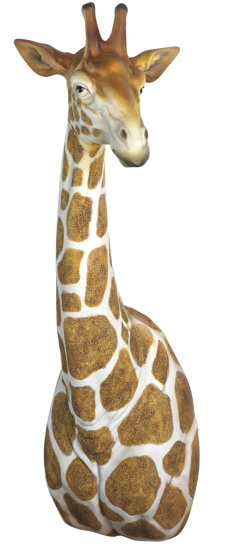 Natural Giraffe Head & Neck Wall Art 61cm