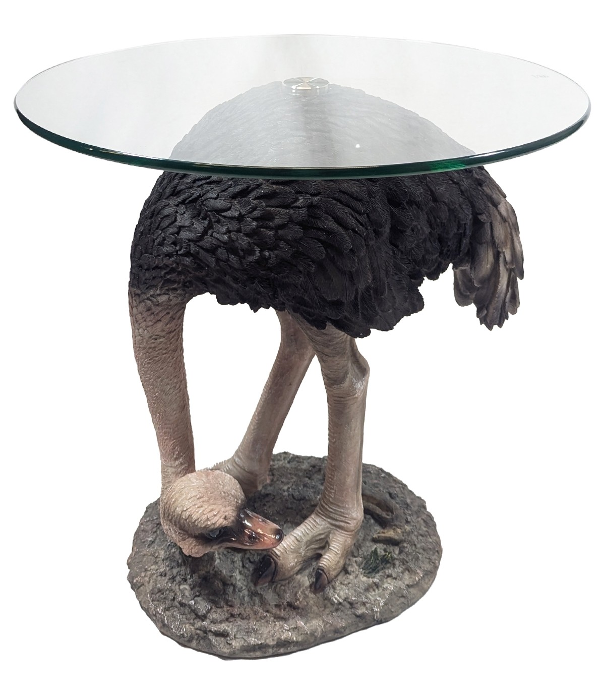 Ostrich Glass Top Table 55cm 