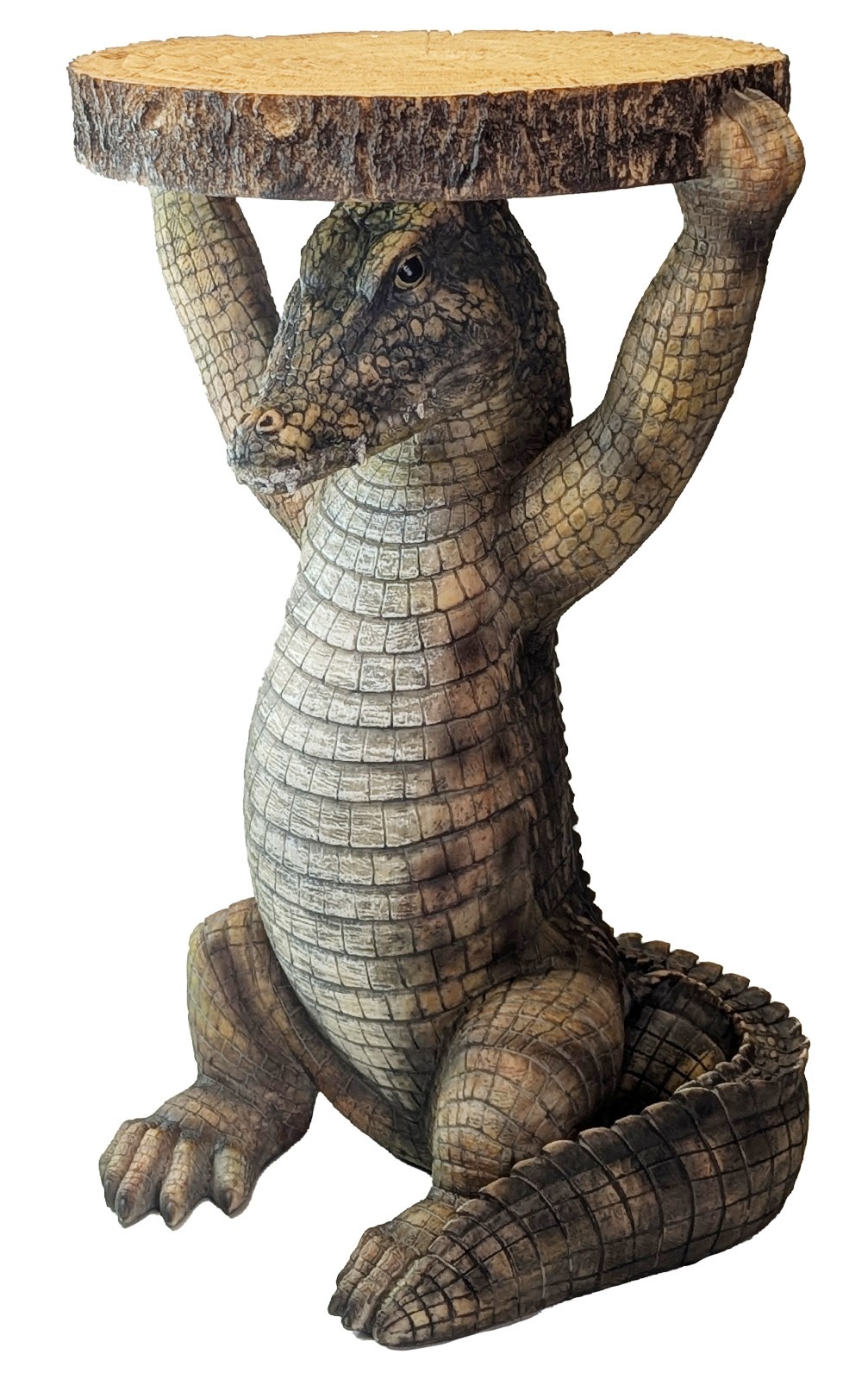 Crocodile Table - 52cm