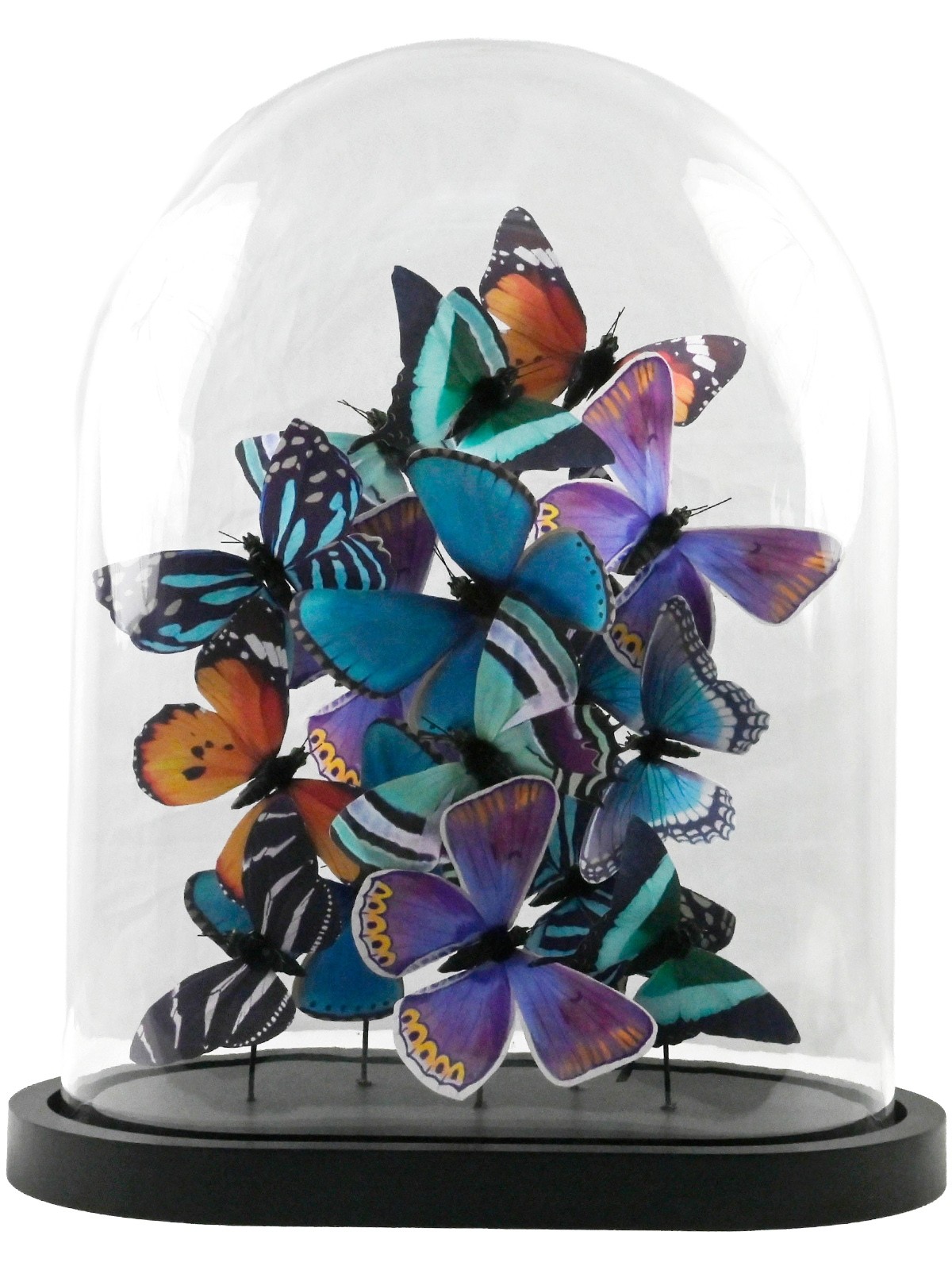Multicoloured Butterflies In Glass Dome - 41.5 x 33.5cm