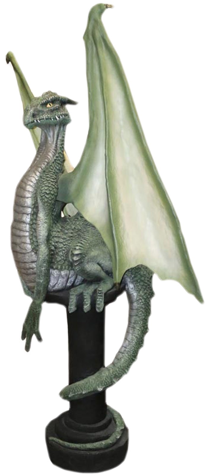 Dragon 7ft 