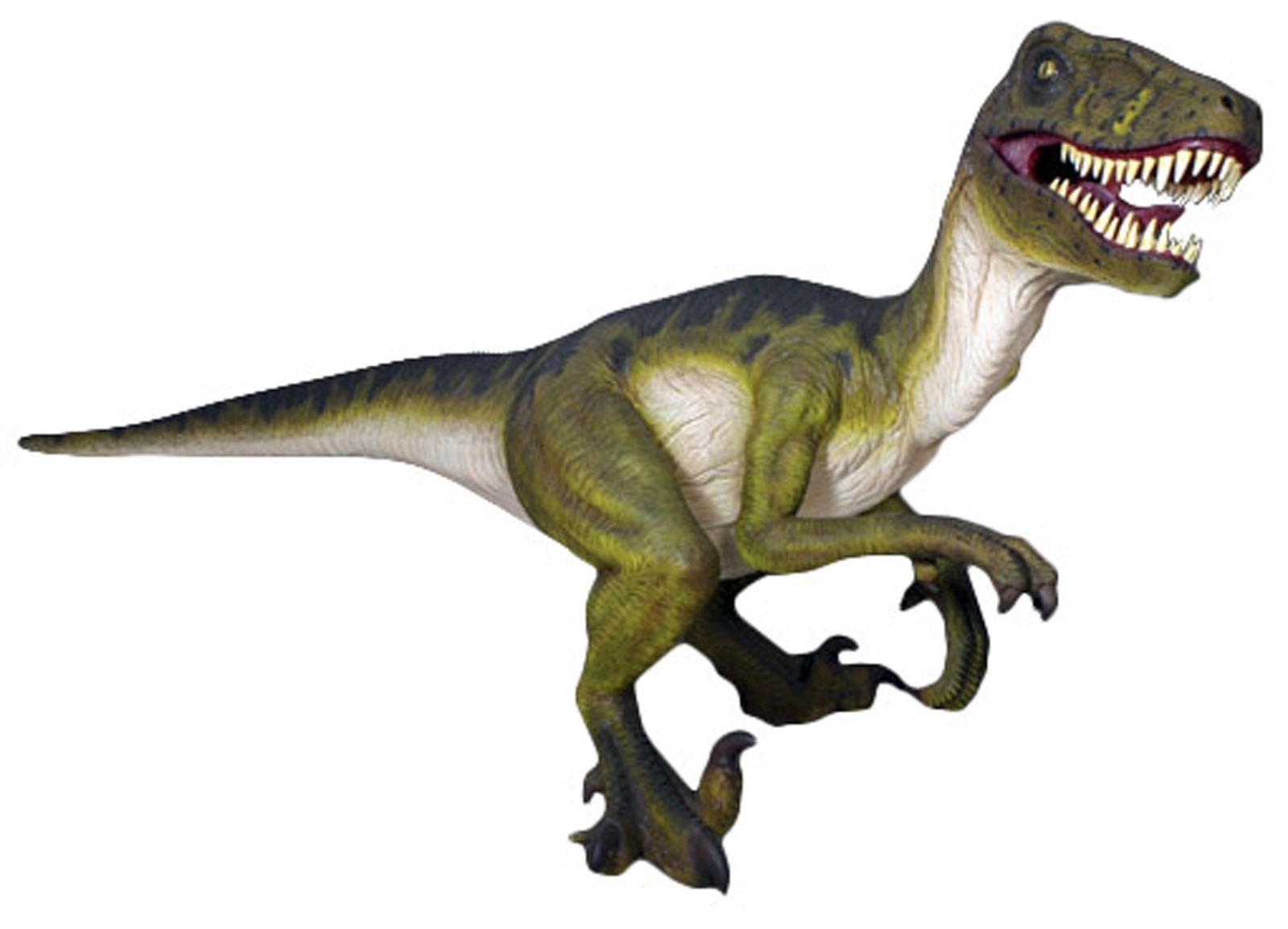 Dromaeosaurus Dinosaur - 343cm