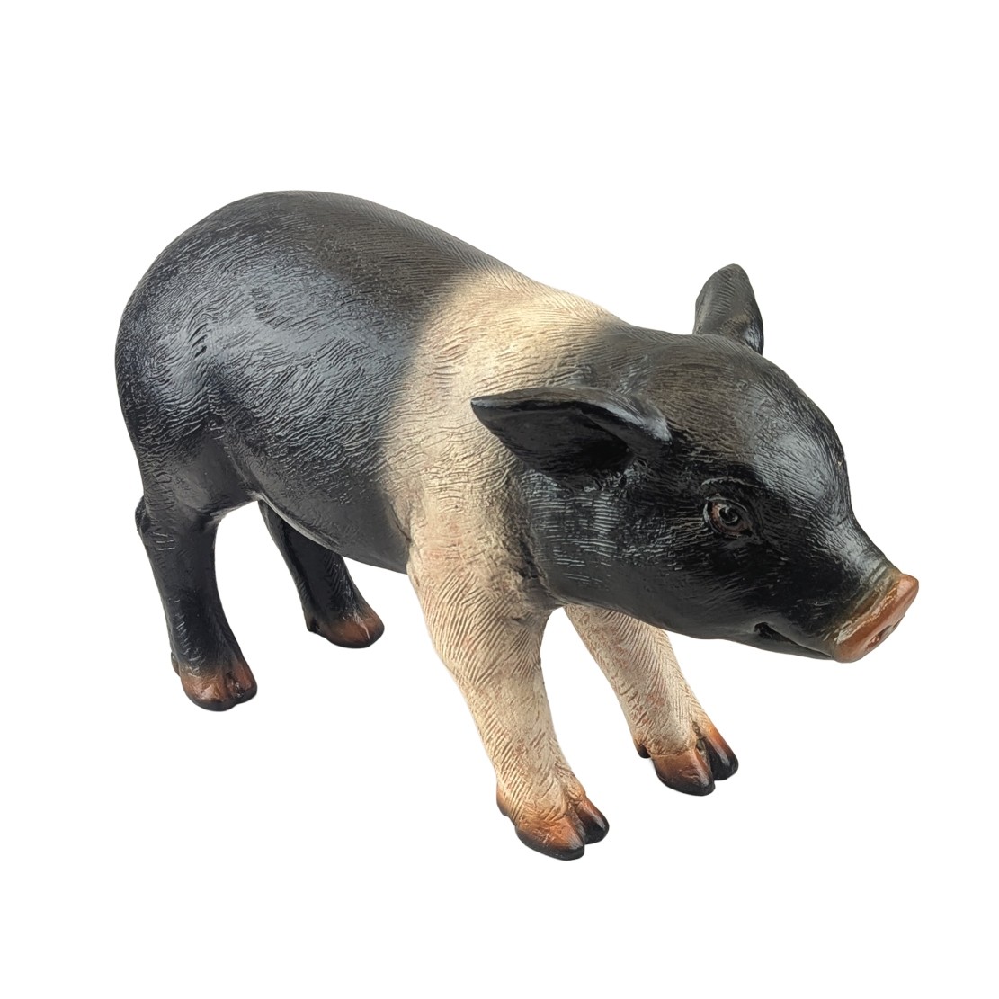 Standing Piglet - Saddleback - 39cm