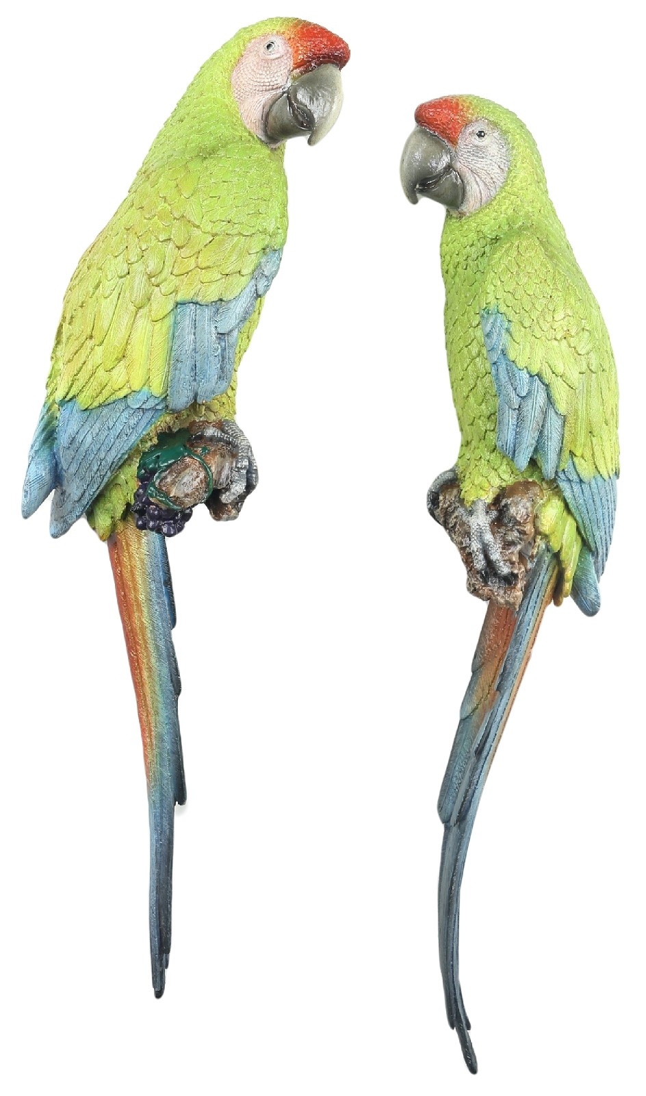 Pair Buffons Macaws - 70cm