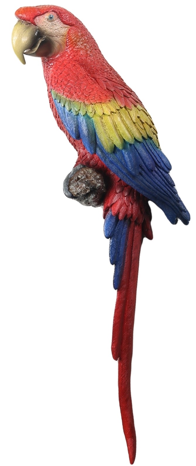 Scarlet Macaw - 100cm