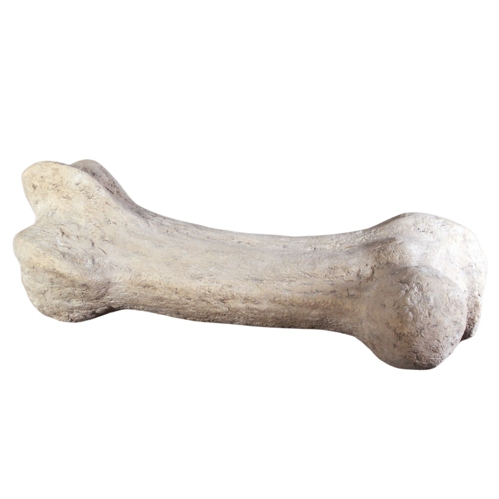 Dinosaur Bone - 110cm