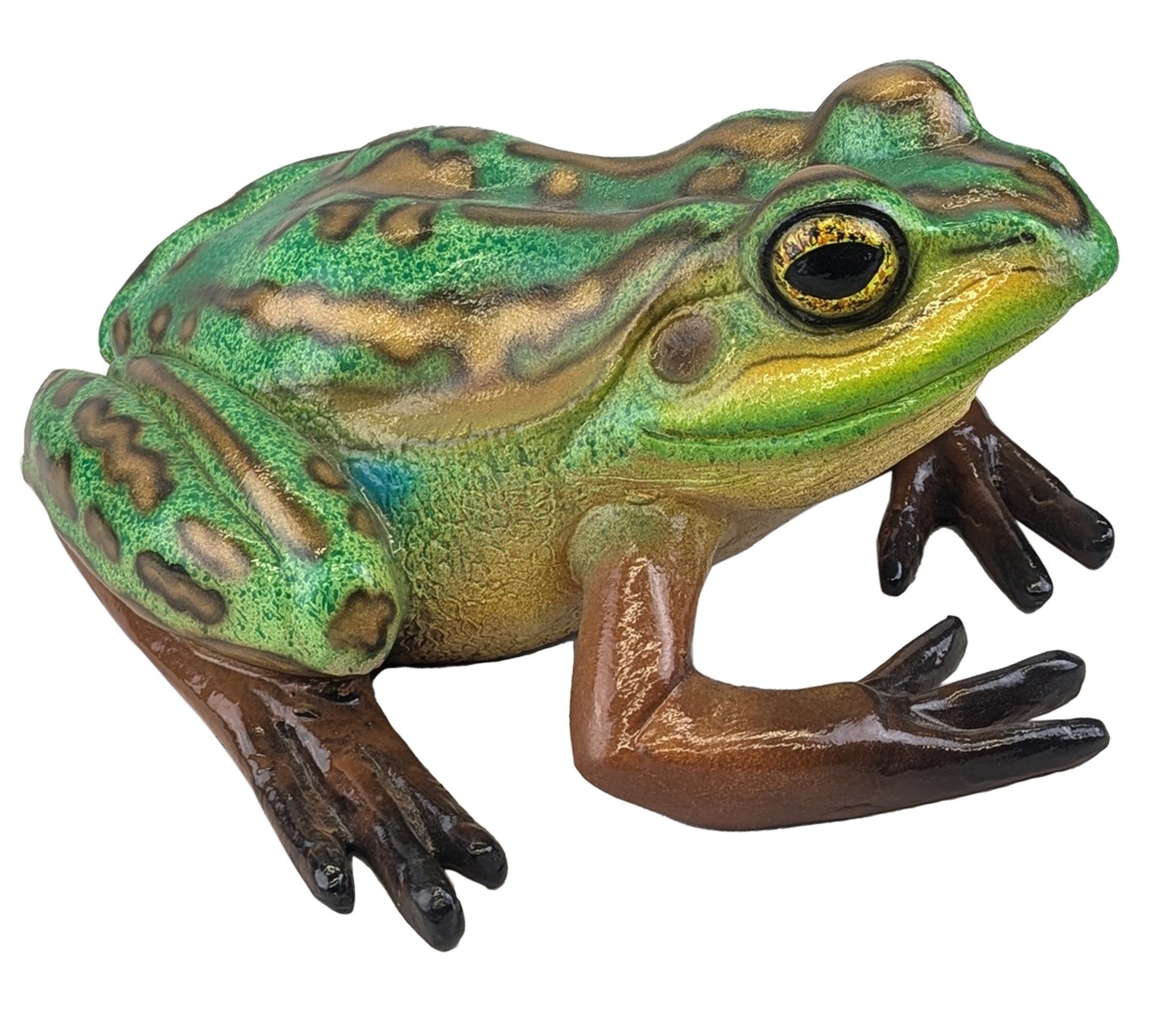 Green and Golden Bell Frog - 35cm