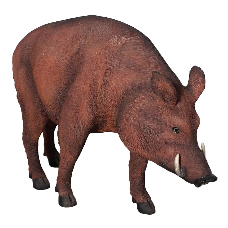 Wild Boar - 119cm - Brown Finish