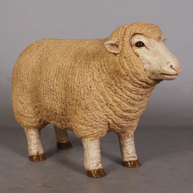 Merino Ewe Head Up - Small - 54cm