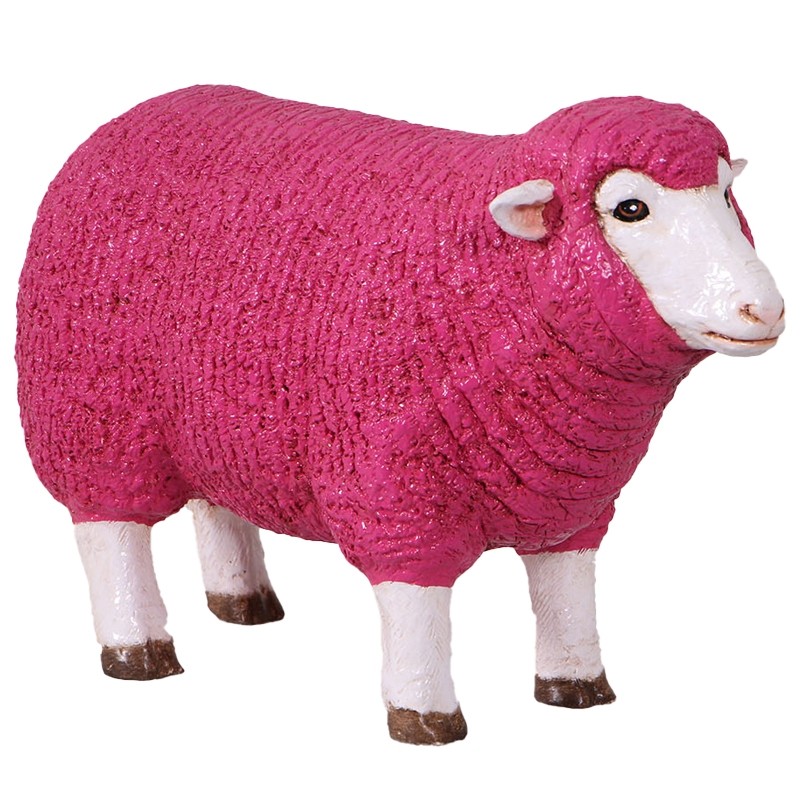 Merino Ewe Head Up - Small - 54cm - Pink Finish