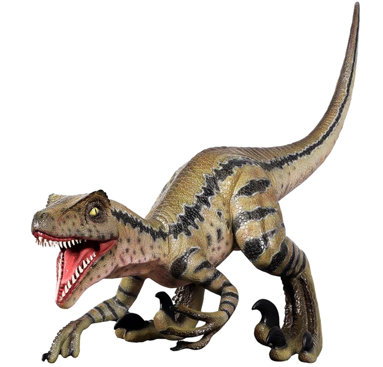 Velociraptor Razor Beaks - 127cm