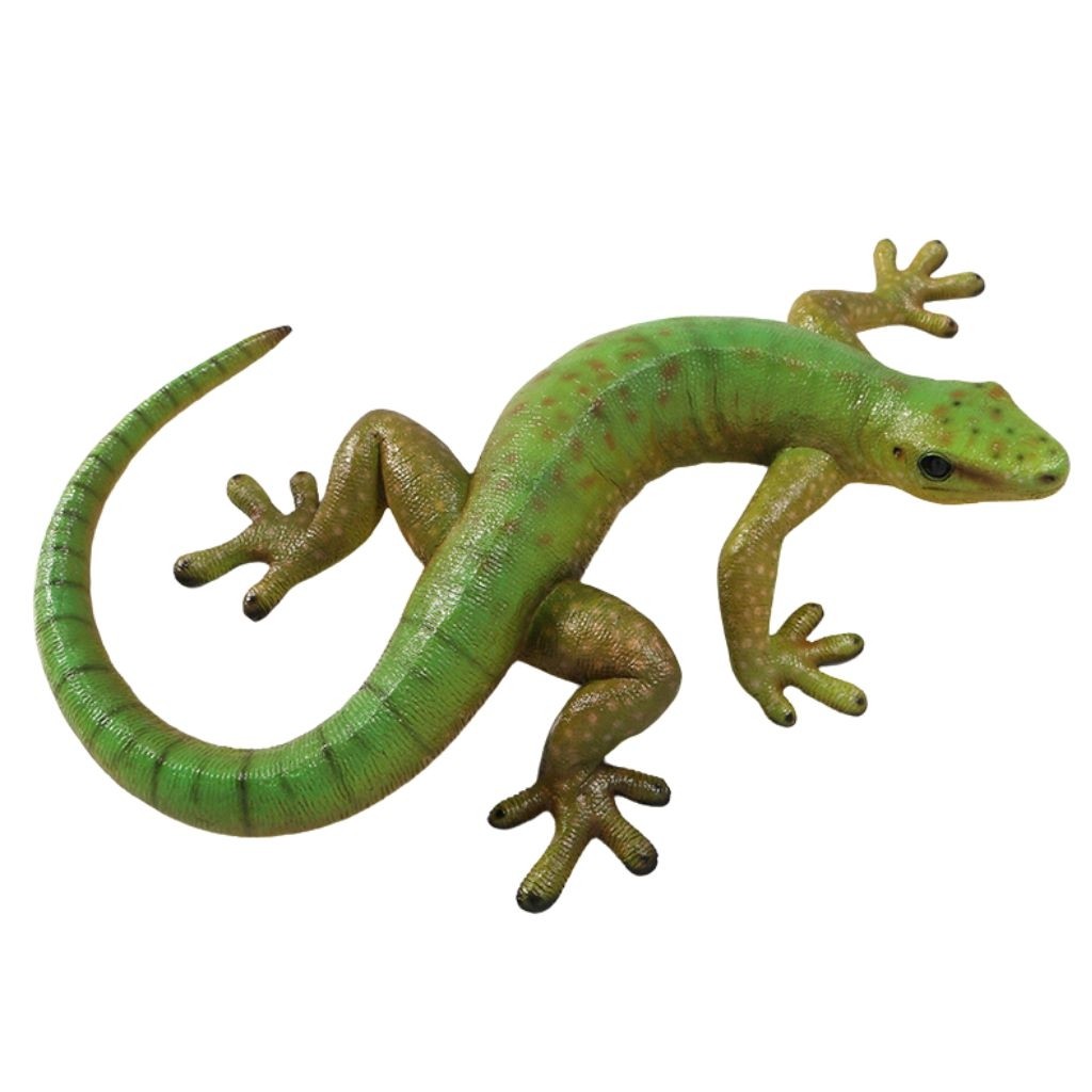 Gecko - 64cm