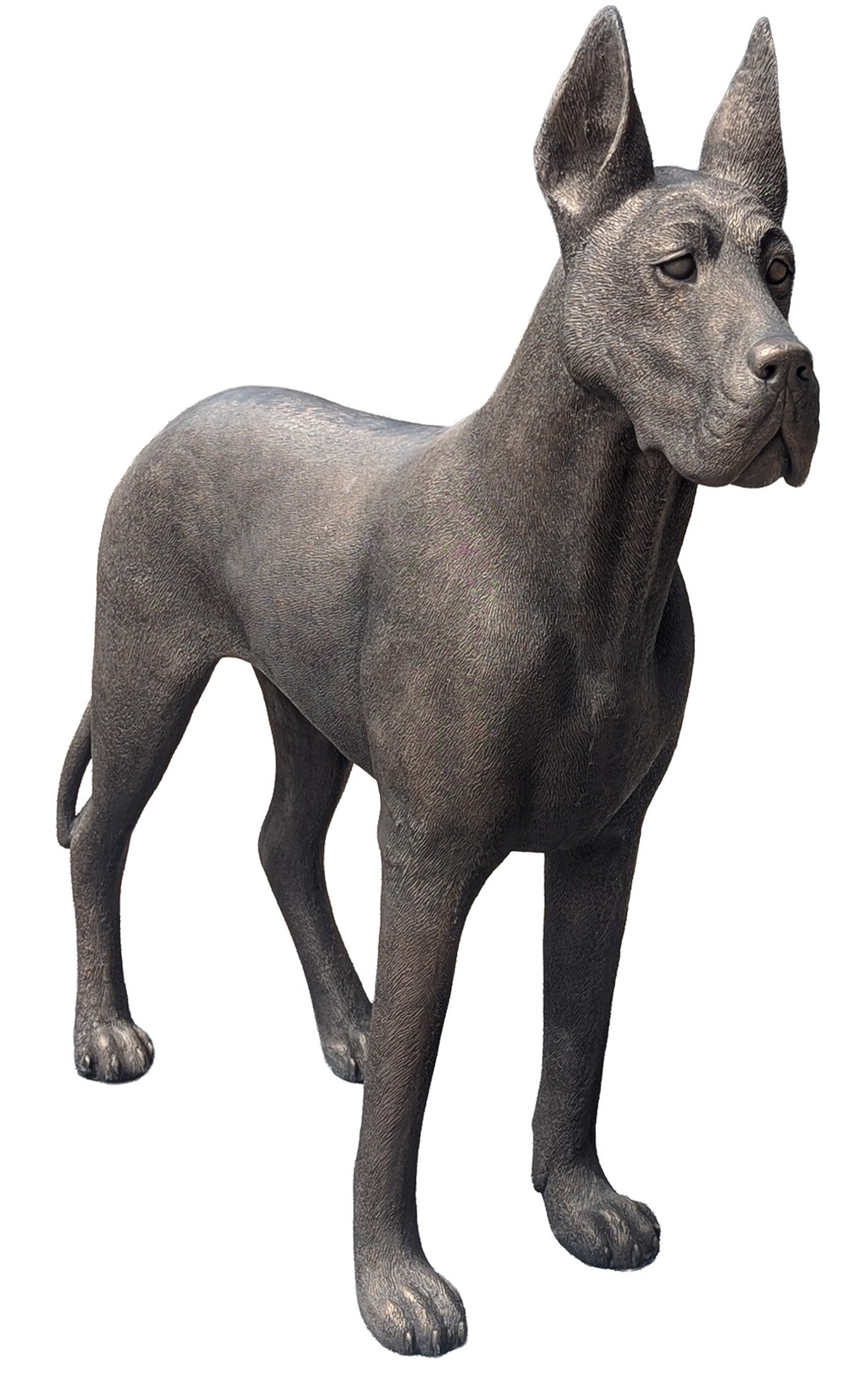 Great Dane - Standing - 130cm - Polished Bronze Finish