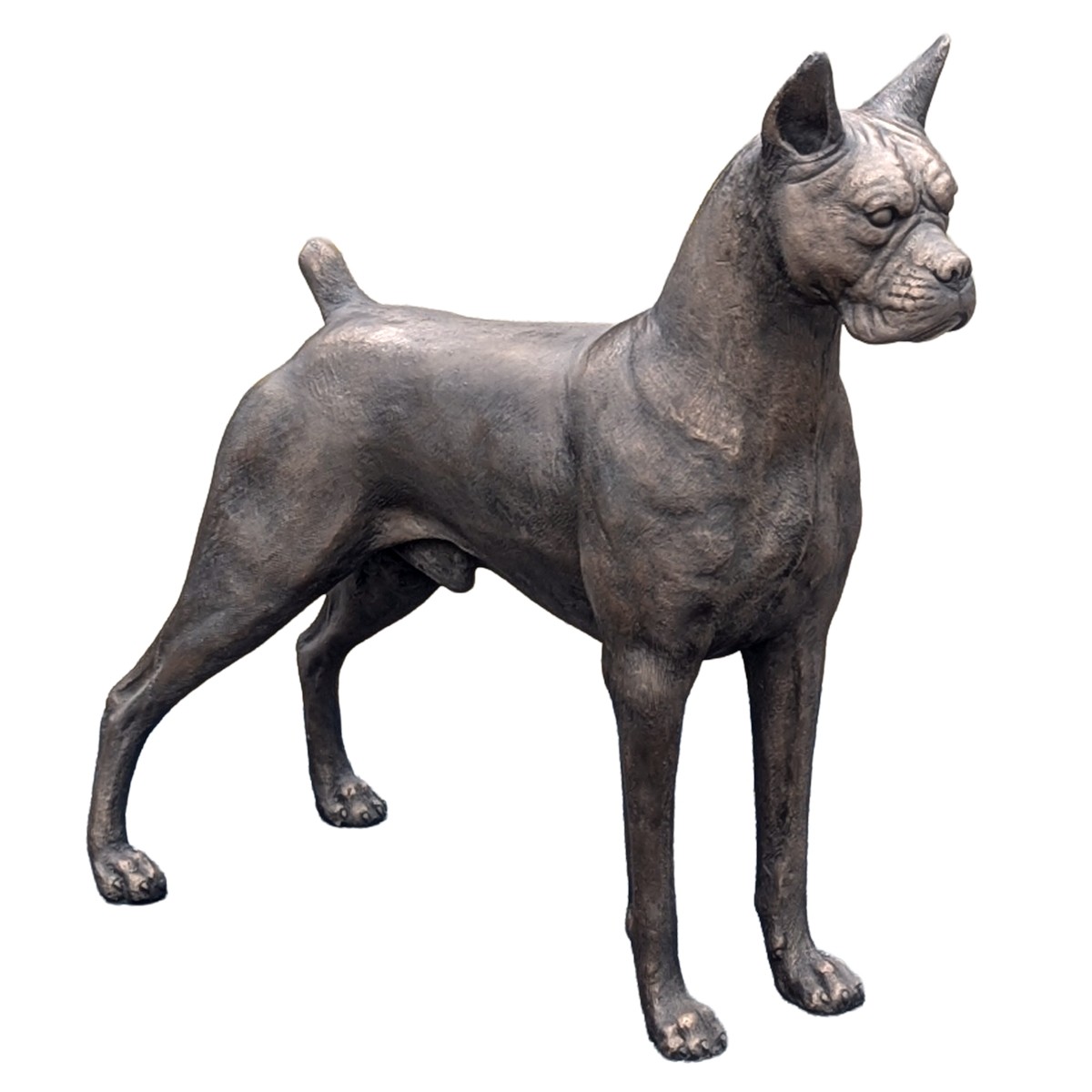 Boxer - Bronze Finish - 100cm