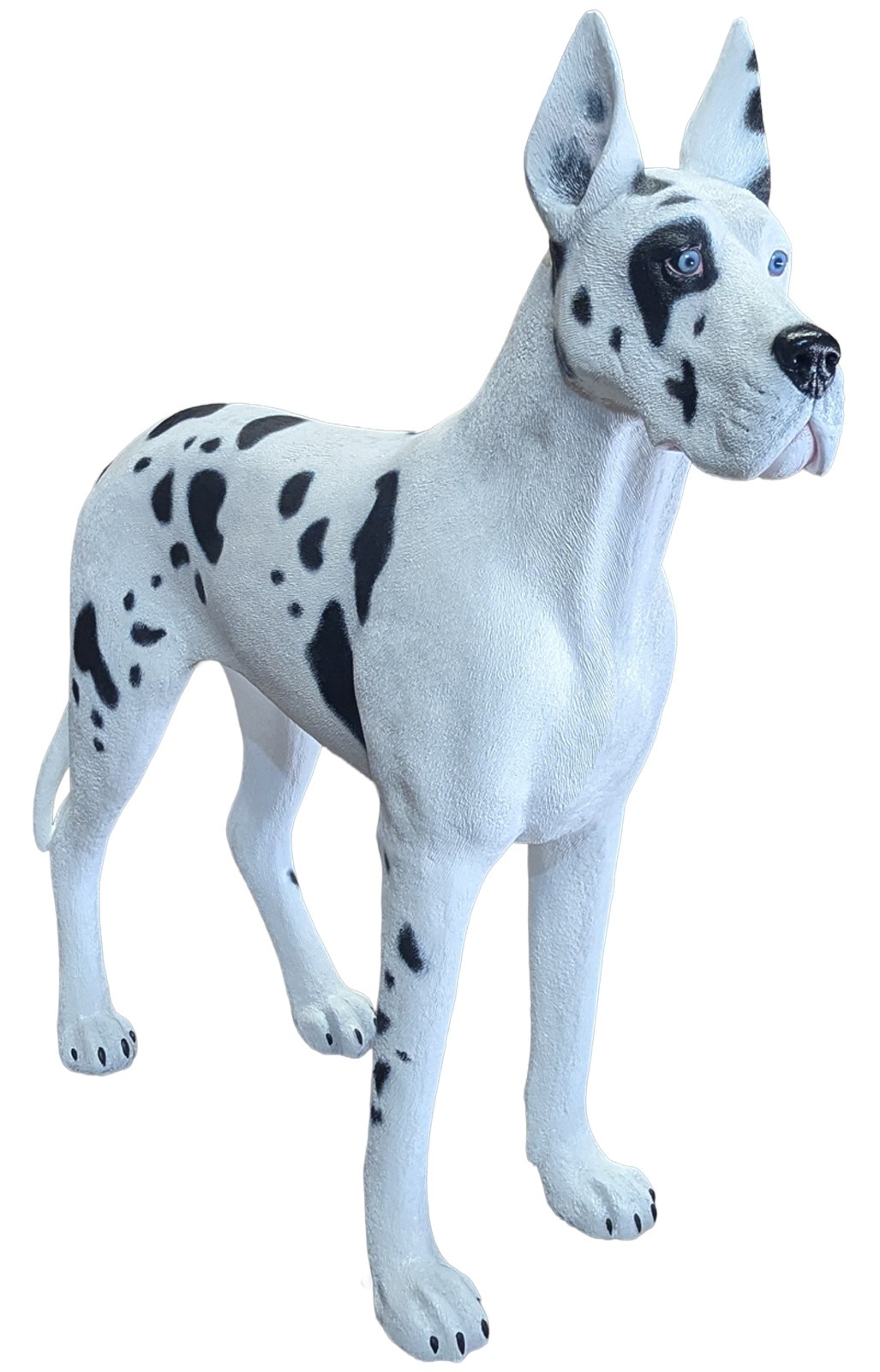 Great Dane White and Black Standing - 130cm