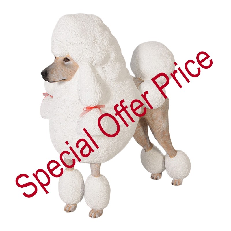 Poodle - White - 92cm