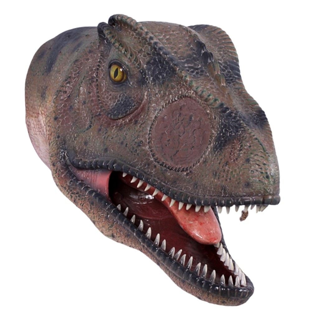 Allosaurus Head - Mouth Open - 70cm