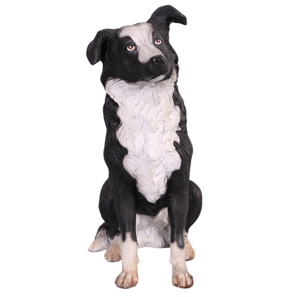 Border Collie - 74cm