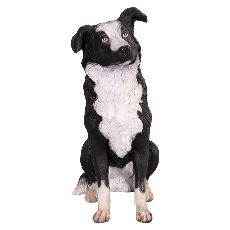 Border Collie - 74cm