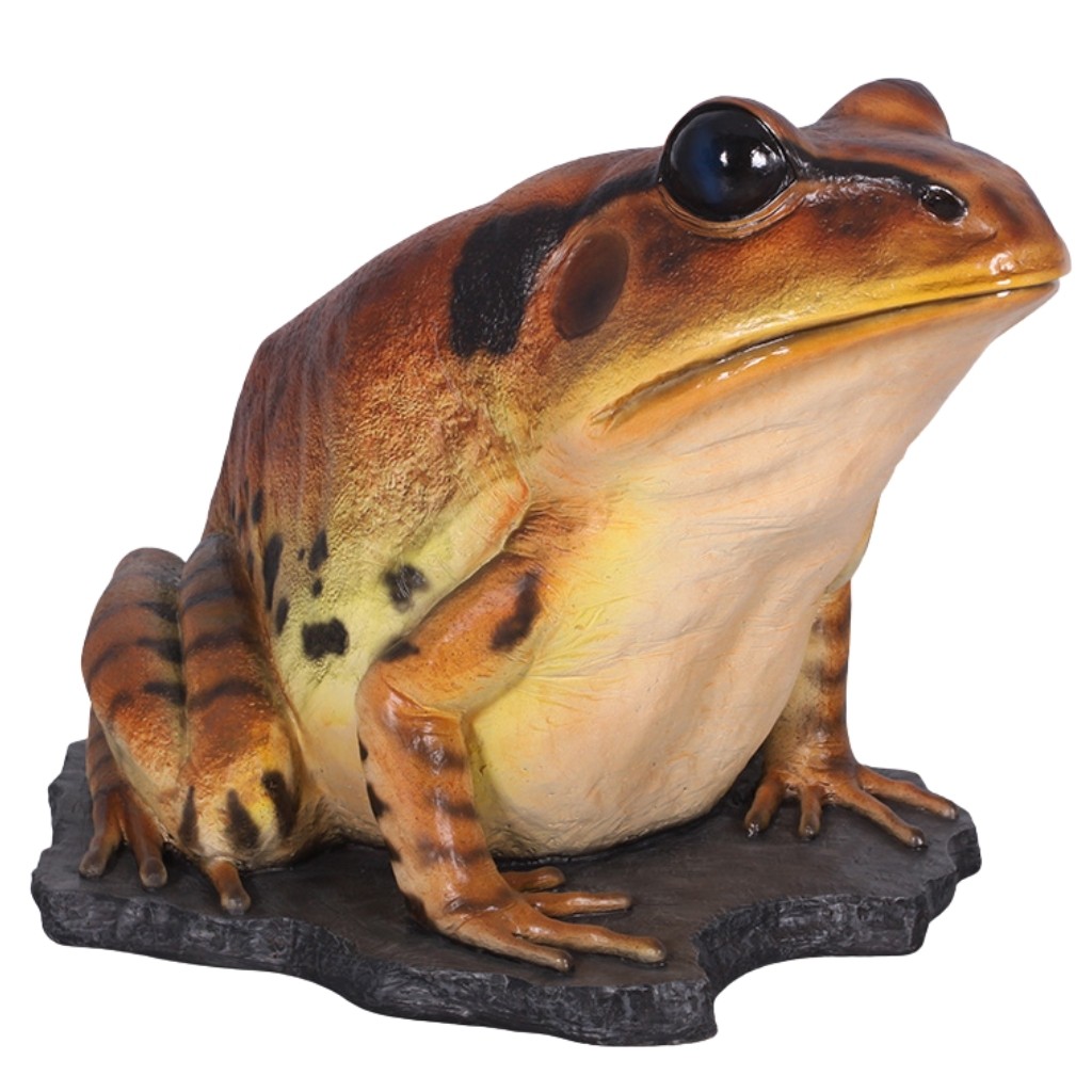 Great Barred Frog - 128cm