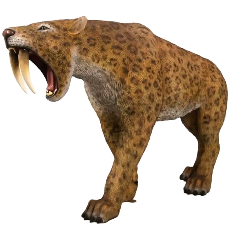 Smilodon - Saber-Toothed Cat - 175cm