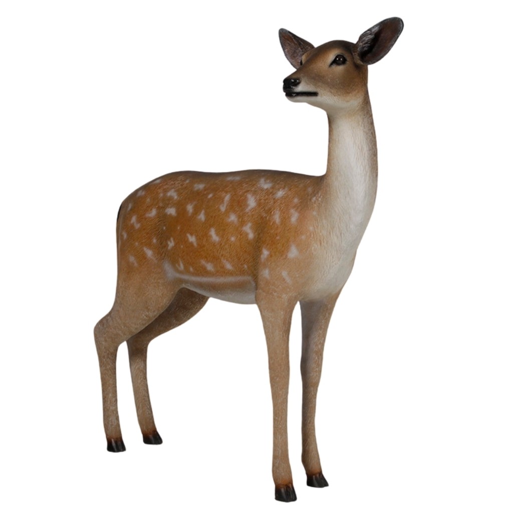 Fallow Deer - Doe - 120cm