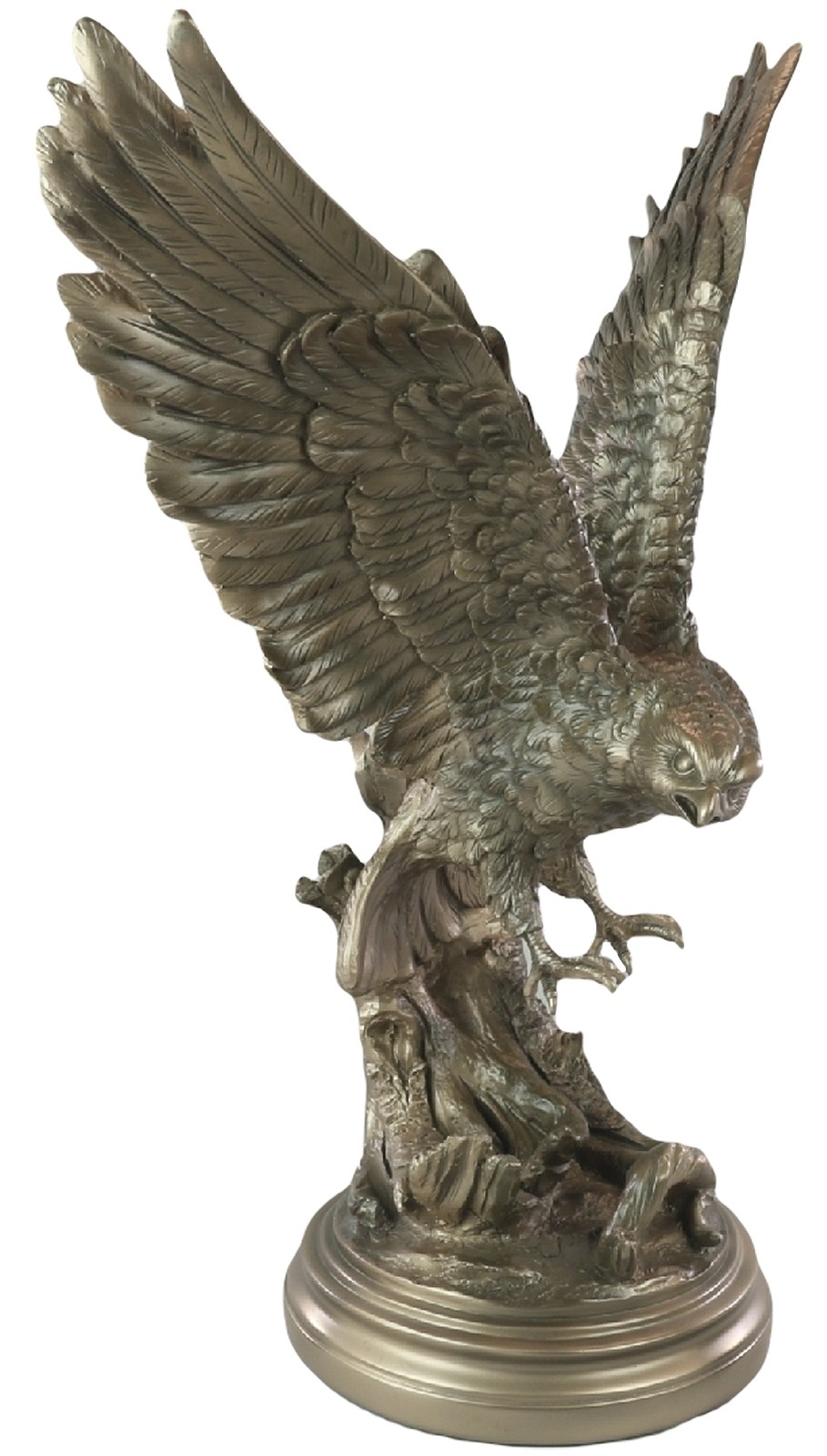52cm Eagle Bronze Finish