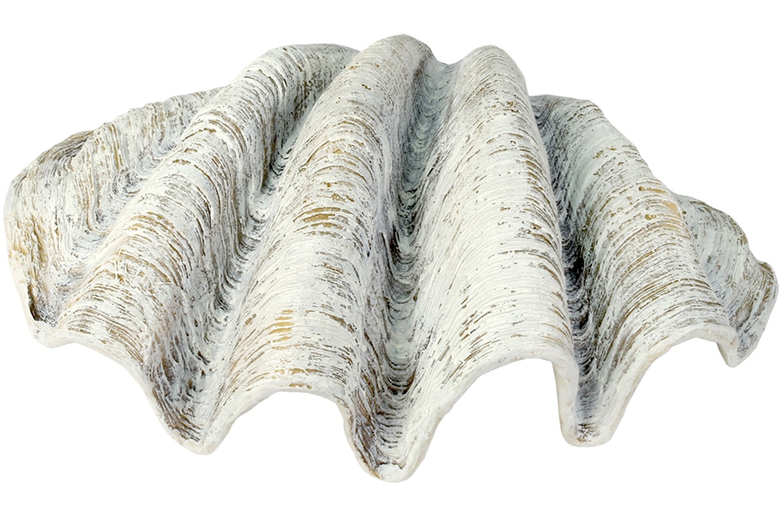 Large Shell 71cm