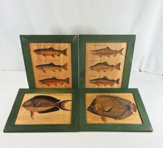 Fish Picture Assorted 35cm   MIN 4 