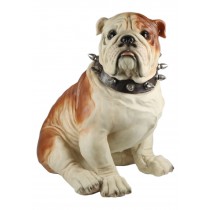 Sitting Bulldog 55cm