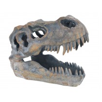 T-rex Skull 19.5cm