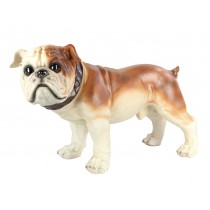 Bulldog  69.5cm