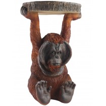 Orangutan Table 52cm