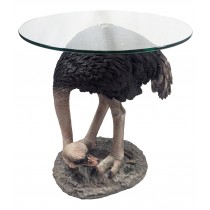 Ostrich Glass Top Table 55cm 