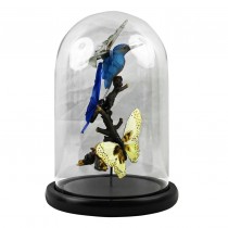 Kingfisher and Butterflies In Glass Dome - 26 x 17.5cm