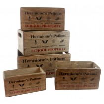 Set of 5 Mango Wood Hermione's Crates 34cm