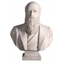 Charles Darwin Bust - Roman Stone Finish - 69cm