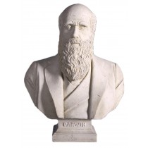 Charles Darwin Bust 69cm - R/S Finish