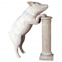 Curious Pig - Roman Stone Finish - 135cm