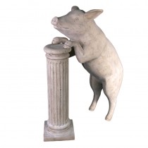 Curious Pig - Roman Stone Finish - 135cm