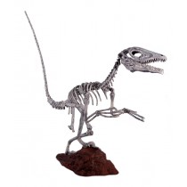 Deinonychus Skeleton 197cm