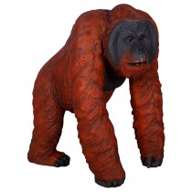 Walking Male Orangutan - 110cm