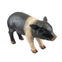 Standing Piglet - Saddleback - 39cm