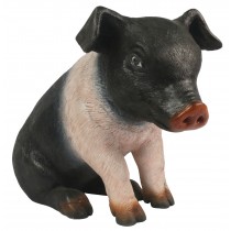 Sitting Piglet - Saddleback - 37cm