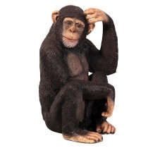 Chimpanzee 70cm